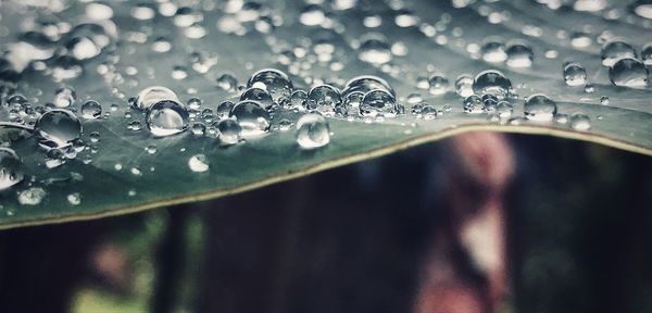 Close-up of water drops on glass