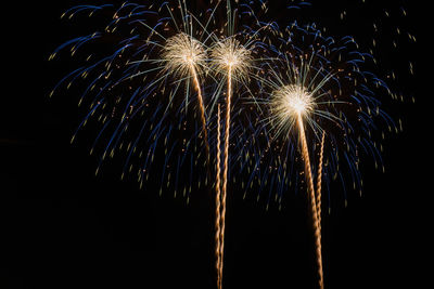 Low angle view of firework display at night