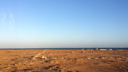 Scenic view of beach against clear blue sky