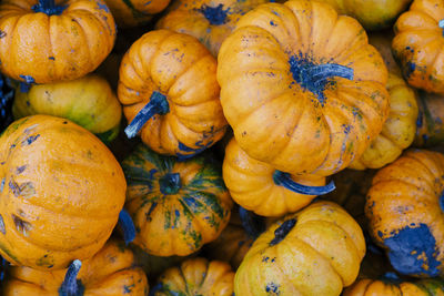 Full frame shot of pumpkins for sale