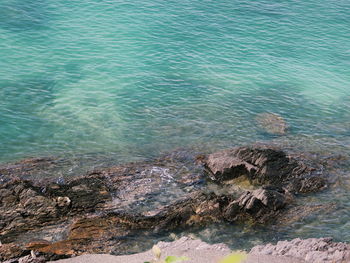 High angle view of rocks in sea