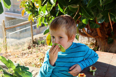 A pensive blond boy eats fresh figs in the garden. a six-year-old boy eats fruit. selective focus.