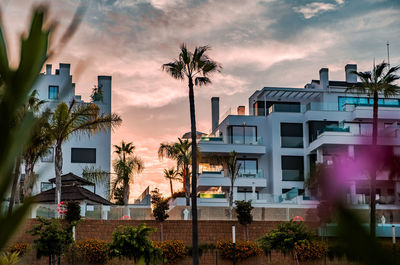 Luxury aparments in a tropical sunset between palm trees