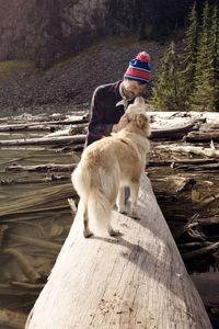 Man playing with dog on log at lakeshore