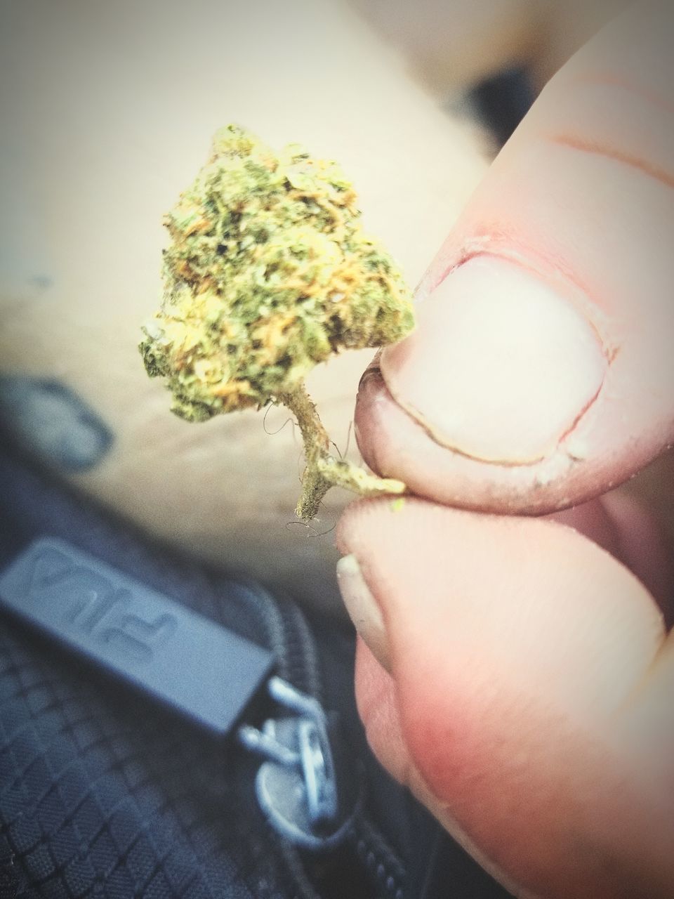 Marijuana - Herbal Cannabis Weed Stoned Stonergirl Cannabis Nugget Drugs Addiction Human Hand Holding Close-up
