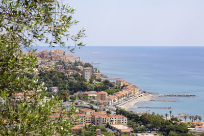 Landscape of the ligurian coast of imperia with houses, sea and olive tree