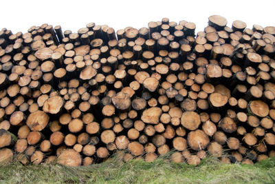 log