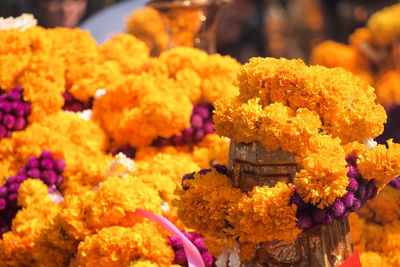 Close-up of yellow flowers on display for sale