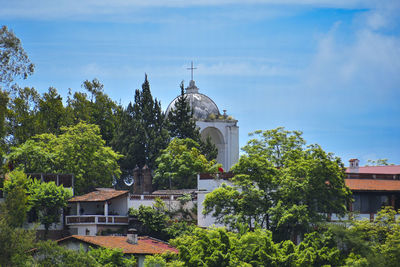 Trees and buildings against sky