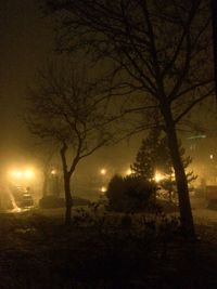 Silhouette bare trees against sky at night