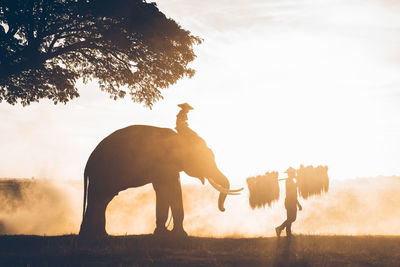 Side view of silhouette elephant on field against sky
