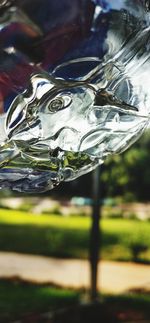 Close-up of glass of water