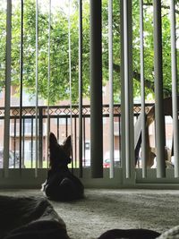 Man sitting in horse