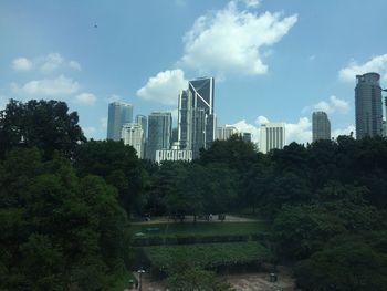 Trees in park with city in background