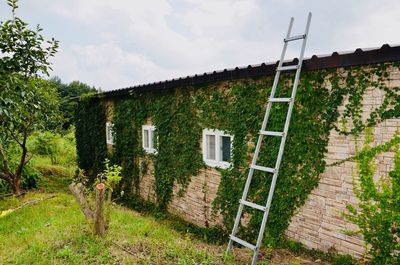 House and trees by plants against sky