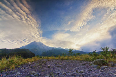 Scenic view of landscape against sky