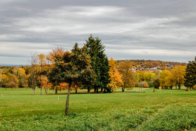 Trees on field against sky during autumn