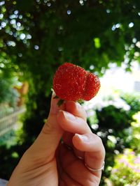 Close-up of hand holding strawberry