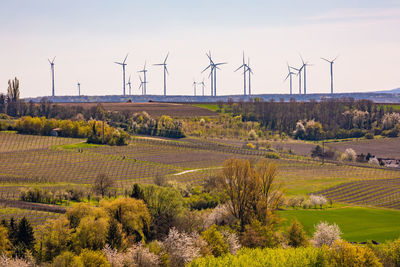 Rural fields and trees in front of a wind farm with many wind turbines for the energy transition
