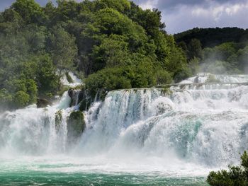 Scenic view of waterfall in forest