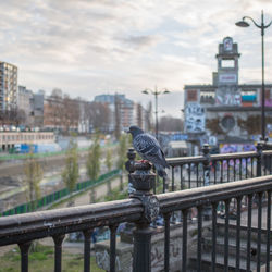 View of bridge over river