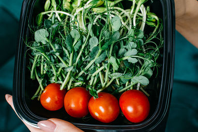 High angle view of vegetables in bowl on table