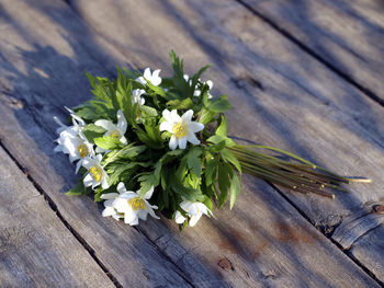 High angle view of flowering plant on table