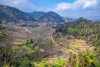 Scenic view of agricultural field against sky