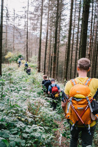 Rear view of people walking in forest