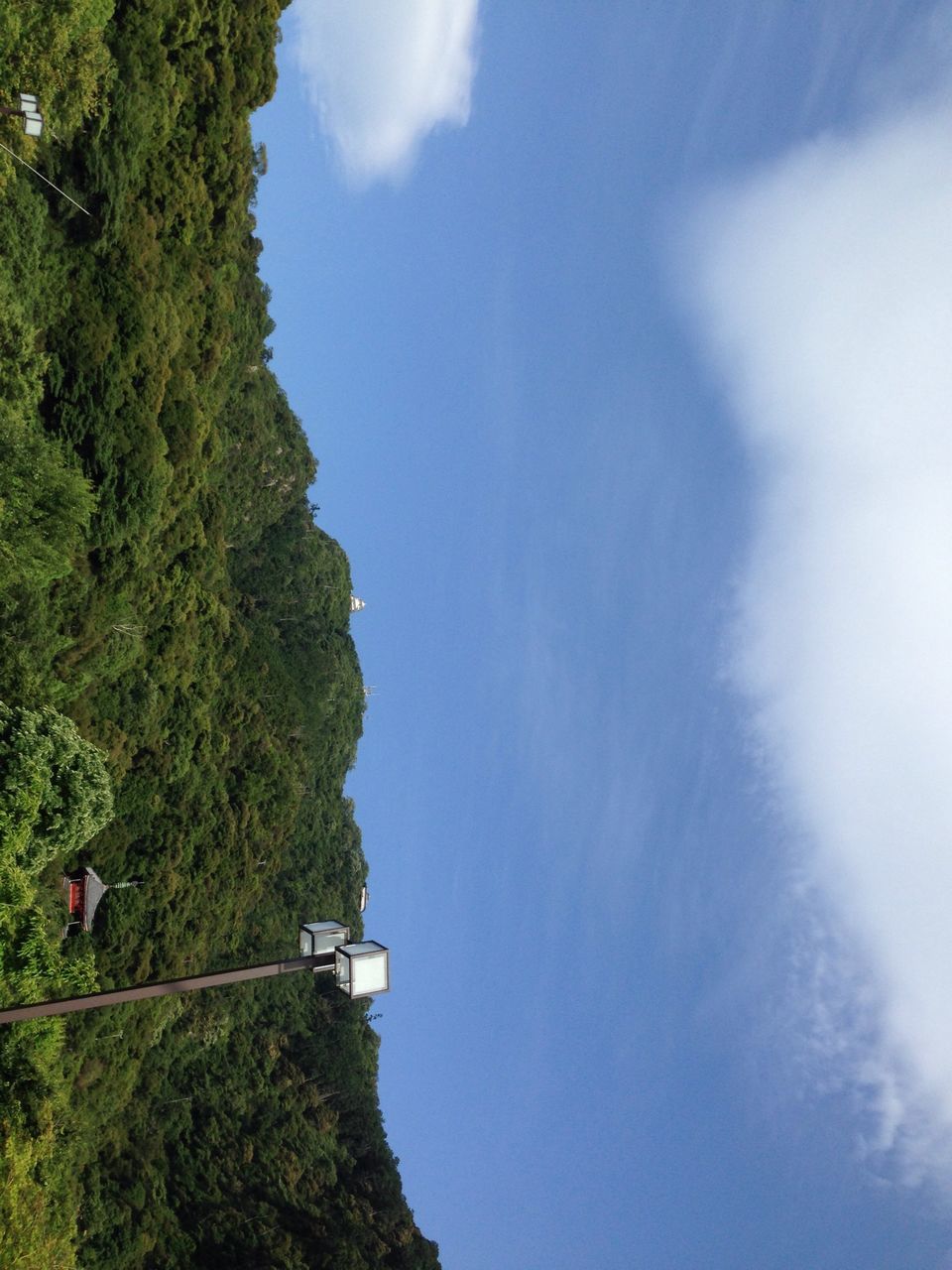 tree, sky, mountain, tranquility, scenics, tranquil scene, beauty in nature, low angle view, nature, cloud - sky, green color, growth, cloud, day, lush foliage, idyllic, outdoors, hill, non-urban scene, forest