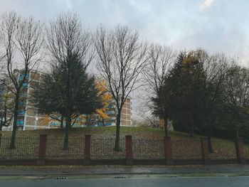 Wet trees against sky