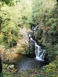 Stream flowing through rocks in forest