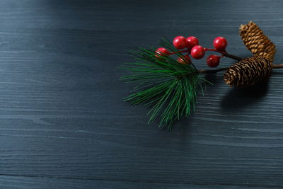 High angle view of berries on table