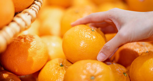 Female hands holding the orange for made to orange juice at the fresh market.