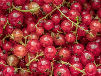 Full frame shot of red fruits for sale