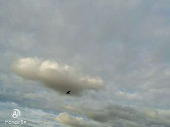 Low angle view of bird flying in sky