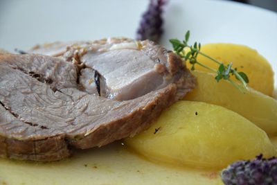 Close-up of meal served in plate