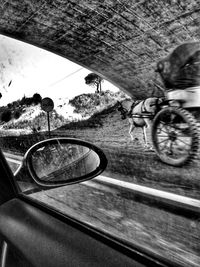 Close-up of bicycle against trees