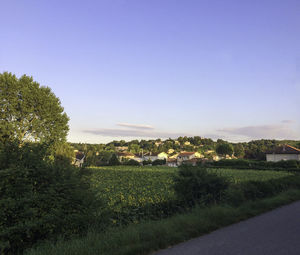 Scenic view of field against clear sky