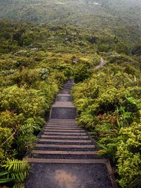 Scenic view of landscape