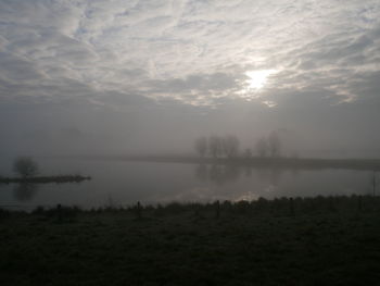 Trees on field against sky during foggy weather