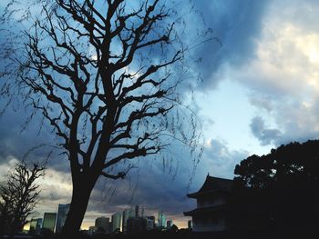Low angle view of silhouette tree and buildings against sky