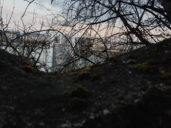 Bare trees by abandoned building against sky