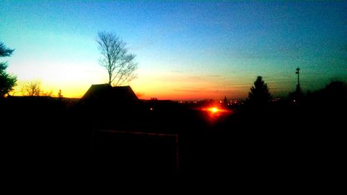 Silhouette of trees at sunset