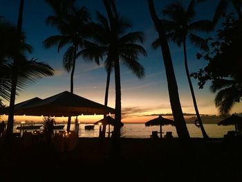 View of palm trees on beach at sunset