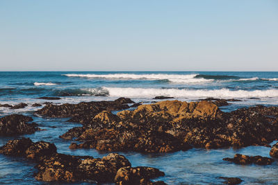 Scenic view of sea against clear sky