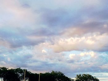 Low angle view of trees against cloudy sky