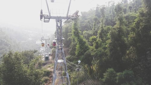 High angle view of overhead cable car amidst trees in forest