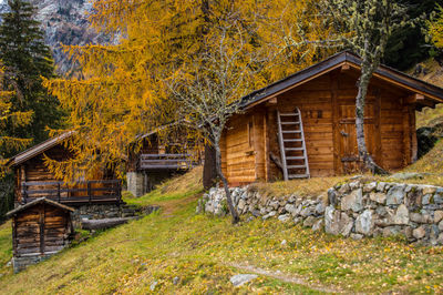 Old house amidst trees and plants in forest during autumn