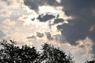 Low angle view of silhouette trees against sky